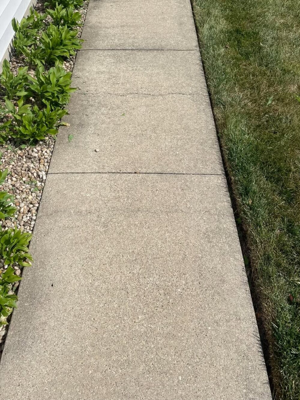 A side sidewalk beside white siding and hostas, grey with dirt before cleaning