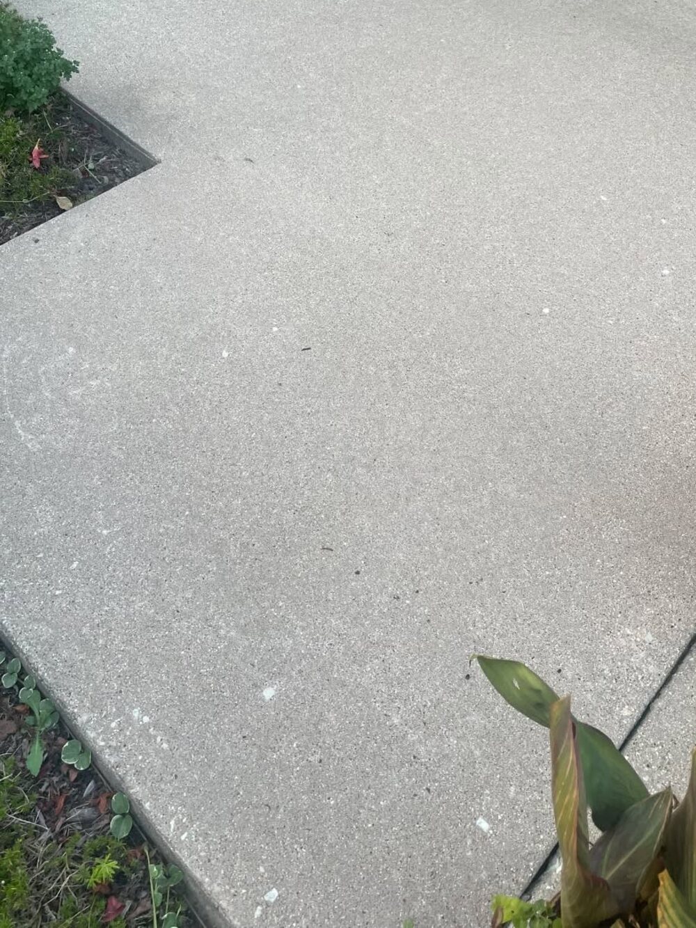 The same patio slab cleaned to a light even grey