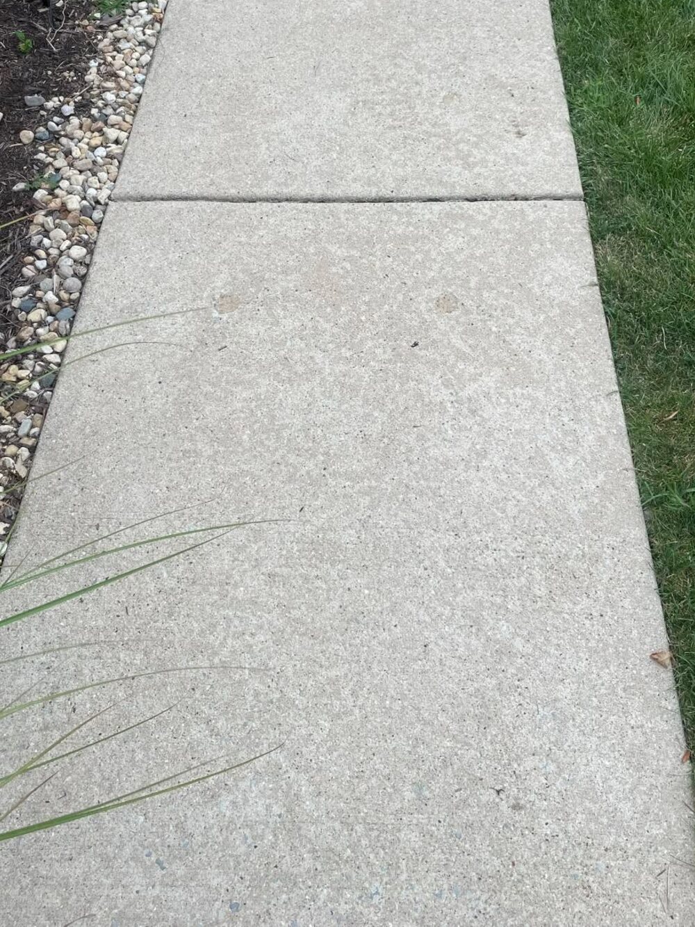 The same sidewalk after cleaning, the concrete back to an even pale finish