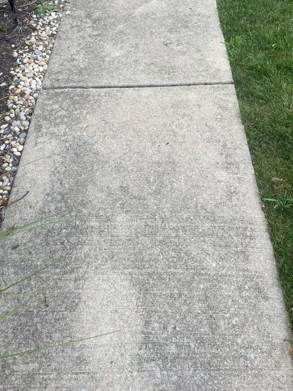 A front sidewalk dulled grey and green with years of dirt and mildew before cleaning