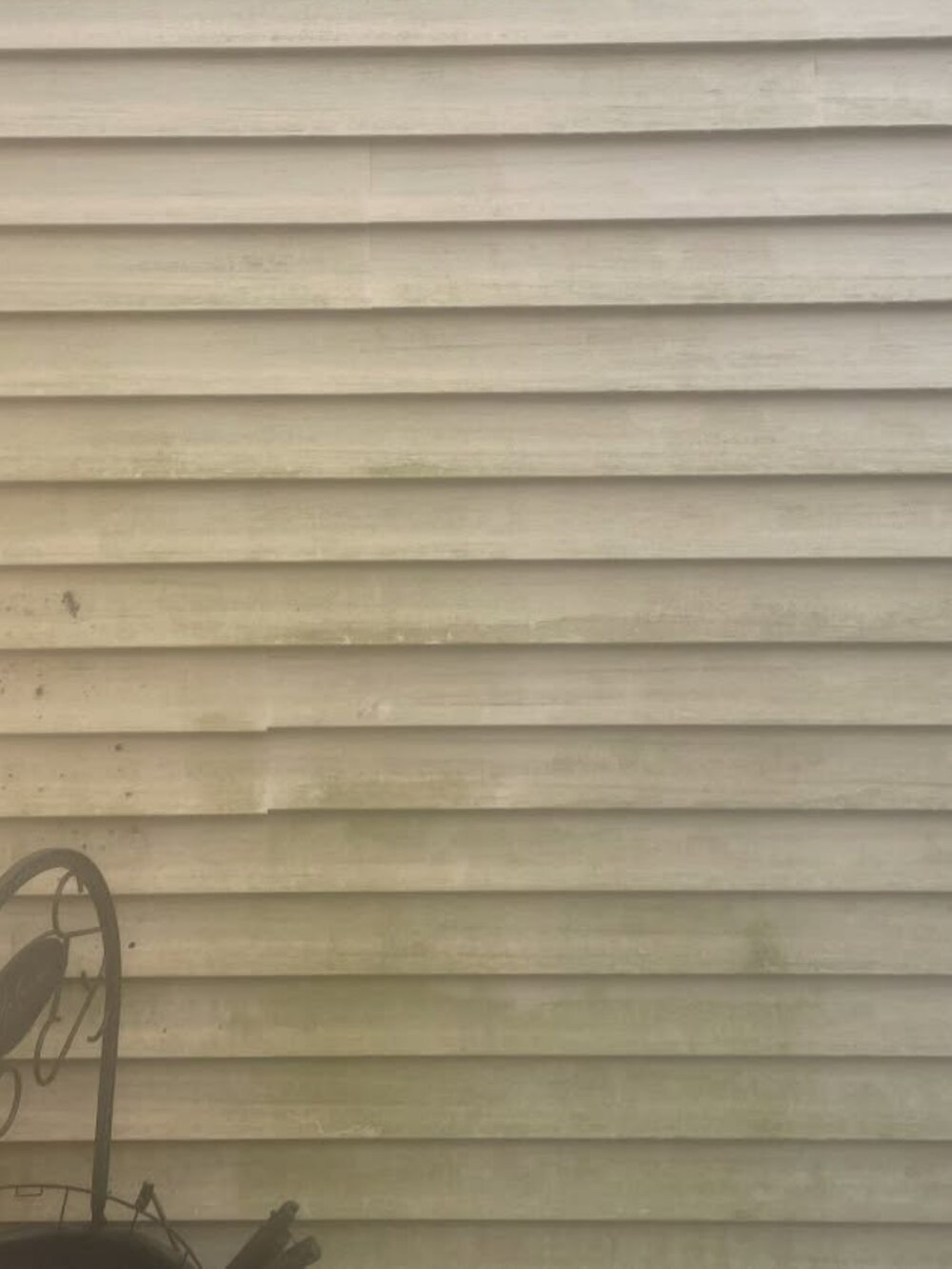 House siding streaked with green algae and grime before washing