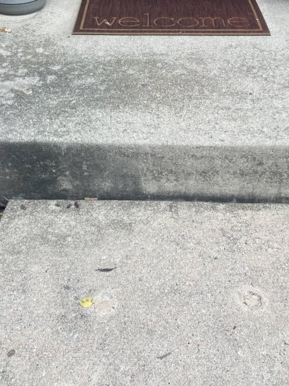 A brick front stoop with the concrete step stained grey and green before cleaning
